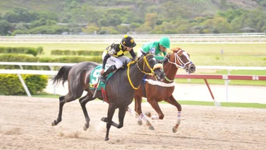 Caballo que surge como favorito en el 5y6 reaparece después de 245 días sin correr en La Rinconada   