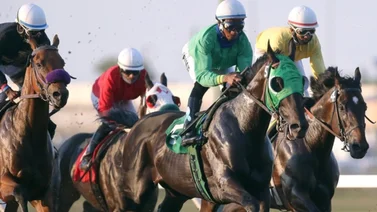 Cuarentena por virus equino ocasiona cambios en este hipódromo de norteamérica