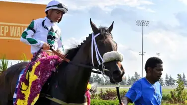 Yegua que costó $3.000.000 busca esta semana su primer Grado 1 en Estados Unidos Yegua que costó $3.000.000 busca esta semana su primer Grado 1 en Estados Unidos