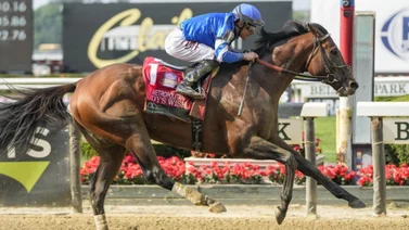 Junior Alvarado estrena potro de $925.000 contra Joel Rosario sobre uno de $900.000