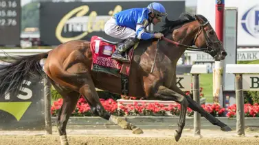 Junior Alvarado estrena potro de $925.000 contra Joel Rosario sobre uno de $900.000 Junior Alvarado estrena potro de $925.000 contra Joel Rosario sobre uno de $900.000