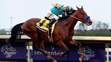 Emisael Jaramillo montará hijo de American Pharoah en Colonial Downs