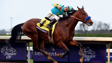 Emisael Jaramillo montará hijo de American Pharoah en Colonial Downs Emisael Jaramillo montará hijo de American Pharoah en Colonial Downs