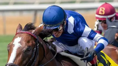 John Velázquez montará hijo de American Pharoah que costó $1.235.850 John Velázquez montará hijo de American Pharoah que costó $1.235.850