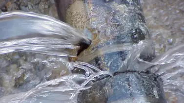 Usuarios reportan rotura de un tubería en la autopista Prados del este (+Detalles) Usuarios reportan rotura de un tubería en la autopista Prados del este (+Detalles)