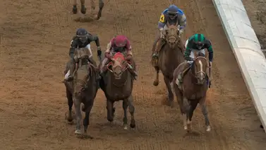 Estos son los caballos que más dinero generaron en Estados Unidos los primeros seis meses del 2024 Estos son los caballos que más dinero generaron en Estados Unidos los primeros seis meses del 2024