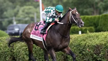 Caballo más rápido del mundo será semental en esta granja cuando lo retiren Caballo más rápido del mundo será semental en esta granja cuando lo retiren