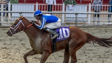 Puertorriqueño gana tres y es el más destacado en este hipódromo de Estados Unidos