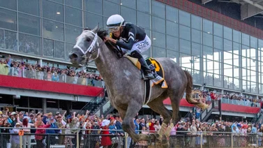 Jockey puertorriqueño gana la primera carrera del meeting de Saratoga