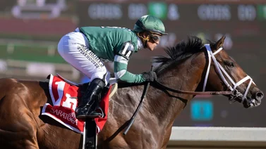 Javier Castellano es el primer venezolano que consigue este logro en el meeting de Saratoga