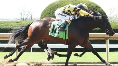 Potra de $3.500 ganó el primer stakes de Saratoga con el mayor dividendo Potra de $3.500 ganó el primer stakes de Saratoga con el mayor dividendo