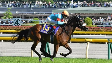 Debuta el hijo de la mejor yegua campeona en la historia de Japón