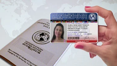 EEUU | Estos son los requisitos para conducir en Estados Unidos