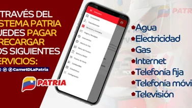 sistema patria servicios