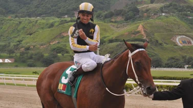 Triple coronada Lyndacarter está preñada de un semental hijo de ganador Graded Stakes G1