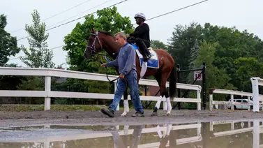 Ganador del Kentucky Derby se perderá esta importante carrera Ganador del Kentucky Derby se perderá esta importante carrera
