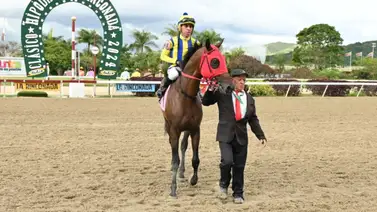 Uno de los mejores potros de tres años de La Rinconada fue operado por una fractura Uno de los mejores potros de tres años de La Rinconada fue operado por una fractura