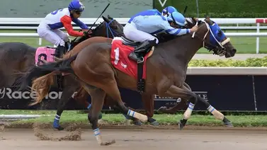 Jockey boricua arrasa con 11 victorias de sus últimos 23 compromisos Jockey boricua arrasa con 11 victorias de sus últimos 23 compromisos