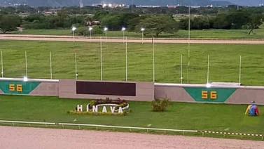 Datos de última hora para el Hipódromo Nacional de Valencia 13/7/2024