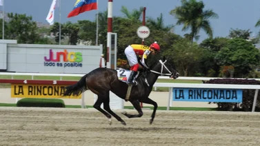 Yeguas compiten este domingo en el LXXI Clásico “Armada Nacional Bolivariana”
