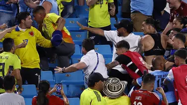 Deportistas que se han ido a los golpes con aficionados. ¡Vergonzoso! (+Videos) Deportistas que se han ido a los golpes con aficionados. ¡Vergonzoso! (+Videos)