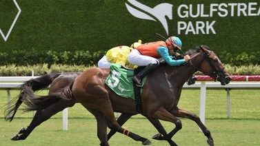 Jockey venezolano gana la primera del sábado en Gulfstream Park