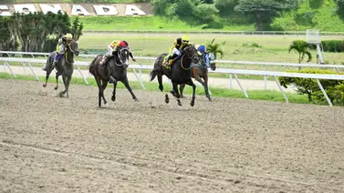 Estos son los primeros retirados del 5y6 de la reunión 27 en La Rinconada Estos son los primeros retirados del 5y6 de la reunión 27 en La Rinconada