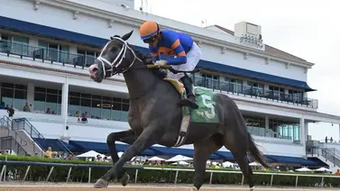 Emisael Jaramillo se queda con la carrera más importante del sábado en Gulfstream Park Emisael Jaramillo se queda con la carrera más importante del sábado en Gulfstream Park