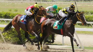 5y6 nacional mantiene racha de récord en el monto sellado en La Rinconada 5y6 nacional mantiene racha de récord en el monto sellado en La Rinconada