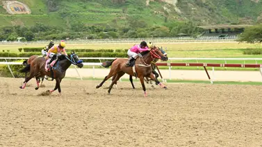 Mira lo que le pasó al jinete de Bucare después de la carrera Mira lo que le pasó al jinete de Bucare después de la carrera