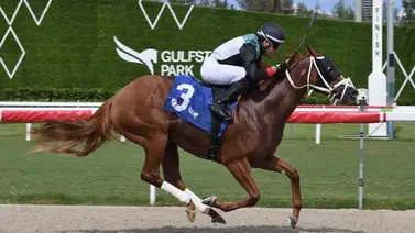Cipriano Gil lidera trifecta venezolana del sábado en Gulfstream Park Cipriano Gil lidera trifecta venezolana del sábado en Gulfstream Park