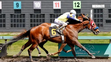 Jockey venezolano sorprende el Stakes del domingo en este hipódromo de Estados Unidos
