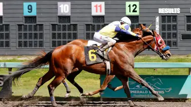 Jockey venezolano sorprende el Stakes del domingo en este hipódromo de Estados Unidos Jockey venezolano sorprende el Stakes del domingo en este hipódromo de Estados Unidos