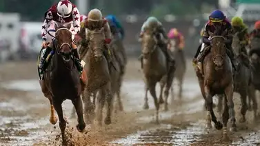 Thorpedo Anna va a revancha en Grado 1 contra la única potra que la derrotó Thorpedo Anna va a revancha en Grado 1 contra la única potra que la derrotó