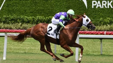 Leonel Reyes es el más destacado del domingo en Gulfstream Park