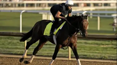Fierceness contra Dornoch la gran batalla por el Millón del Haskell (G1) esta semana Fierceness contra Dornoch la gran batalla por el Millón del Haskell (G1) esta semana
