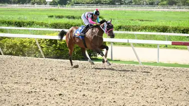 Jinete ganador de cinco estadísticas reaparece en La Rinconada Jinete ganador de cinco estadísticas reaparece en La Rinconada