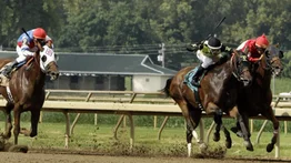 Jockeys de Puerto Rico arrollaron con cantazos en este hipódromo de Estados Unidos