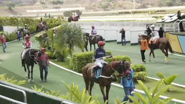 Un Millón de dólares será el monto mínimo a repartir para cuadro único en La Rinconada Un Millón de dólares será el monto mínimo a repartir para cuadro único en La Rinconada