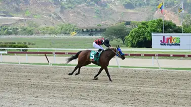 Jinete aprendiz ganador de meeting reaparece en La Rinconada Jinete aprendiz ganador de meeting reaparece en La Rinconada