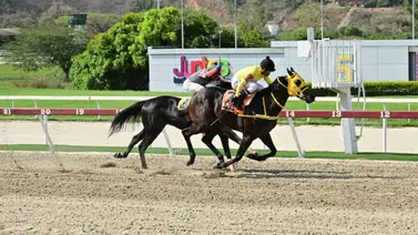 Nieto de Water Poet reaparece con buenos trabajos este domingo en La Rinconada Nieto de Water Poet reaparece con buenos trabajos este domingo en La Rinconada