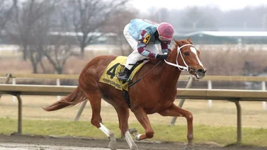 Wilfred Vásquez con el batacazo del lunes en Park Racing