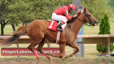 Jockey venezolano duplica en la jornada del lunes en este hipódromo de Estados Unidos