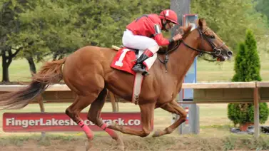 Jockey venezolano duplica en la jornada del lunes en este hipódromo de Estados Unidos Jockey venezolano duplica en la jornada del lunes en este hipódromo de Estados Unidos
