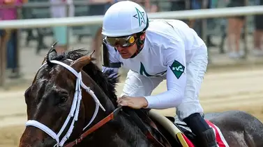 Medio hermano de Life is Good esta semana a defender su invicto en Estados Unidos Medio hermano de Life is Good esta semana a defender su invicto en Estados Unidos