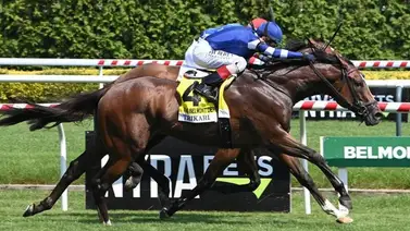 John Velásquez montará ejemplar de propietario y entrenador venezolanos hijo de un campeón japonés John Velásquez montará ejemplar de propietario y entrenador venezolanos hijo de un campeón japonés