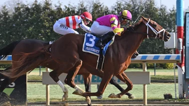 Javier Castellano montará hijo de Curlin en el Curlin Stakes que costó $925.000 