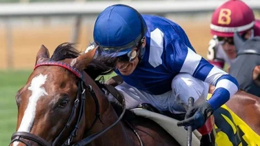 John Velázquez es el puertorriqueño que lidera esta estadística en Saratoga