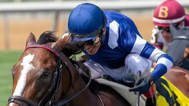 John Velázquez es el puertorriqueño que lidera esta estadística en Saratoga John Velázquez es el puertorriqueño que lidera esta estadística en Saratoga