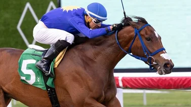 Entrenador venezolano va por stakes de Grado en Saratoga esta semana